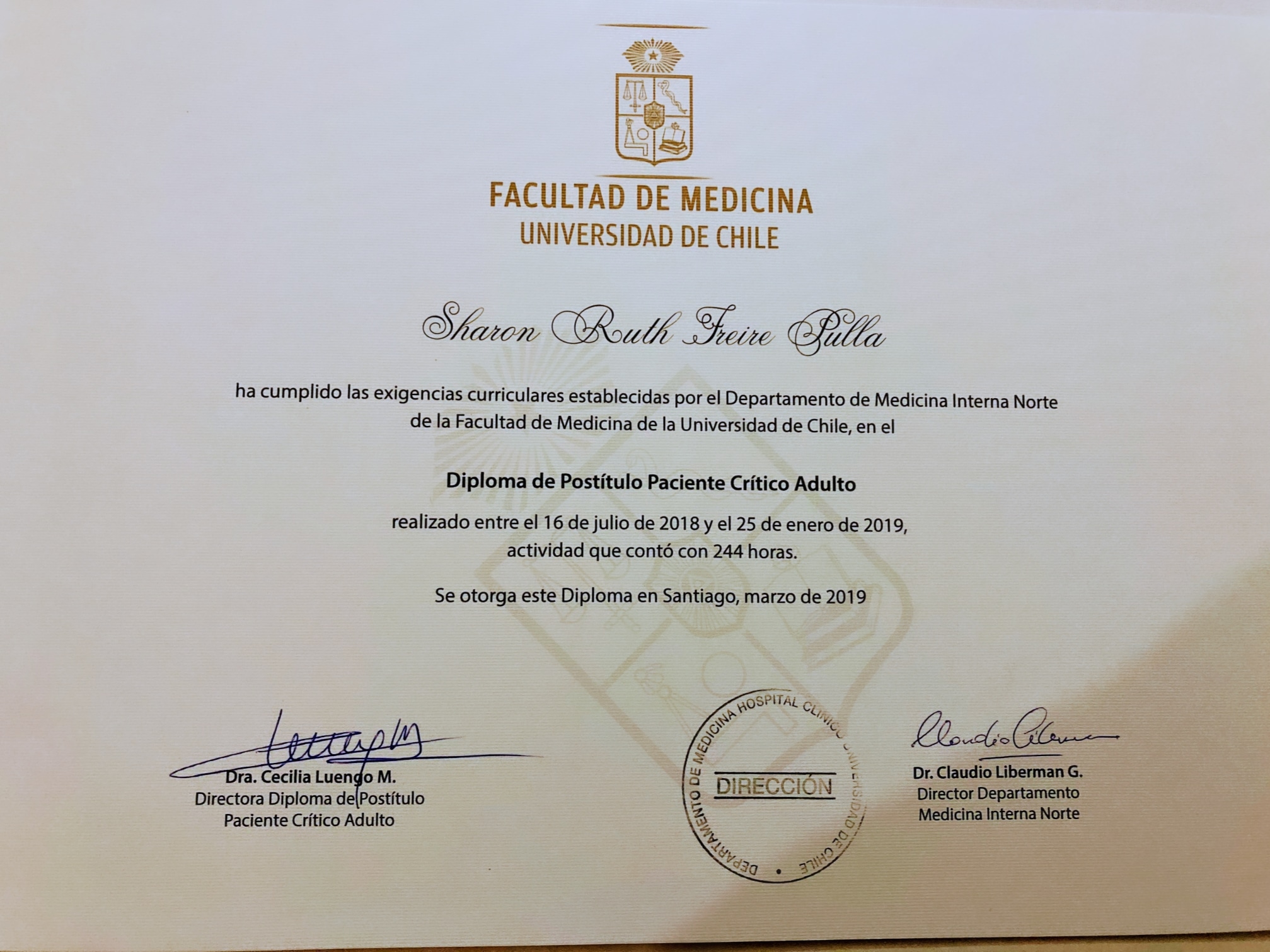 Diplomado paciente crítico adulto